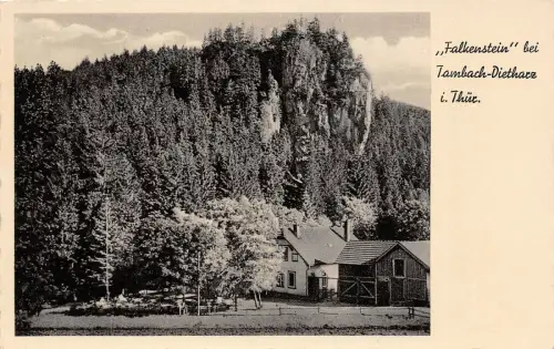 "Falkenstein" bei Tambach-Dietharz i. Thür. Gasthaus AK