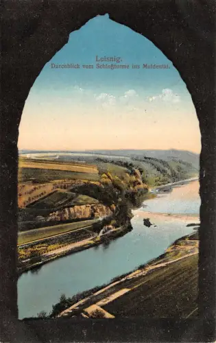 Leisnig Durchblick vom Schloßturme ins Muldental Feldpost AK 1916