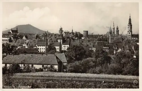 Görlitz m. Landeskrone Postkarte AK