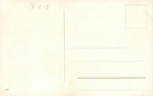Krakau Kathedrale vom Schloß aus gesehen 1915 AK
