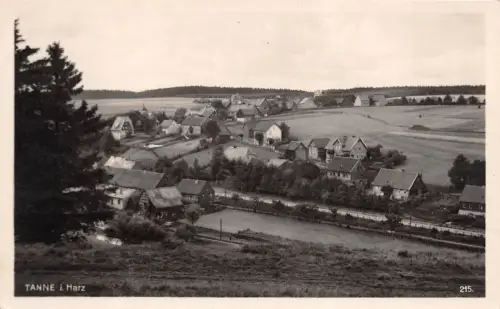 Tanne i. Harz Postkarte AK