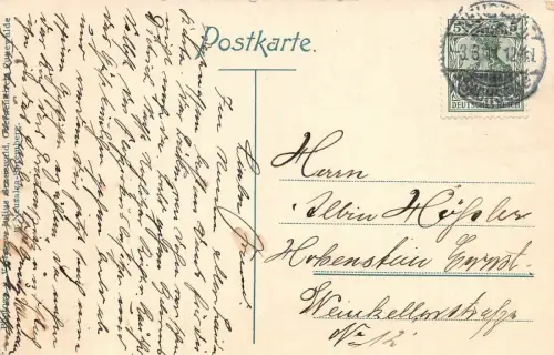 Heilstätte Hohwald bei Neustadt Sachsen Postkarte AK 1911