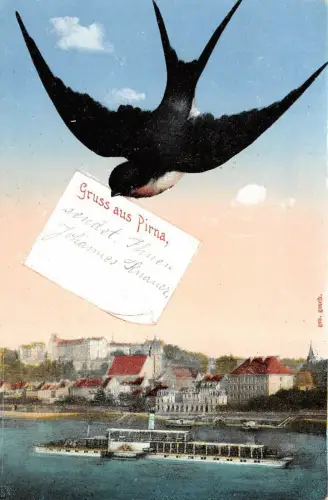 Gruss aus Pirna Partie an der Elbe Sachsen Postkarte AK 1916
