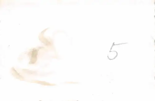 Transport Fähre deutsche Soldaten auf Dnjepr Ostfront