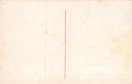 Regensburg Dom Ansicht Panorama Postkarte AK