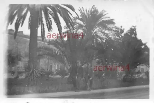 deutsche Soldaten unter Palmen Straße Catania Italien