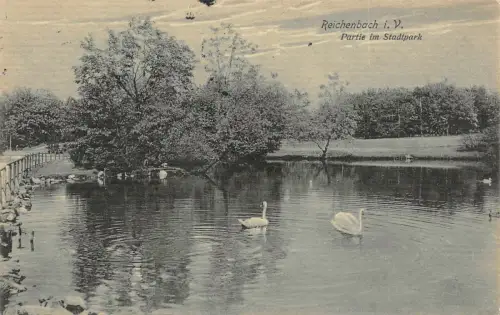 Reichenbach i. V. Partie im Stadtpark Postkarte AK 1913