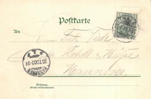 Gruss vom Niederwald Rüdesheim Schloss Rheinstein Bingen Litho AK 1900