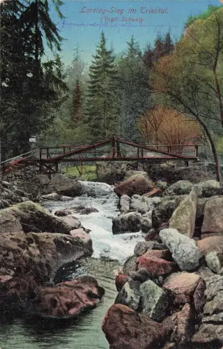 Loreley-Steg im Triebtal Vogtländische Schweiz Sachsen Postkarte AK 1913
