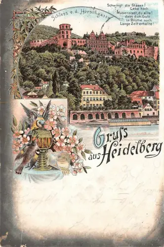 Gruss aus Heidelberg Schloss v. d. Hirschgasse Litho Postkarte AK 1896