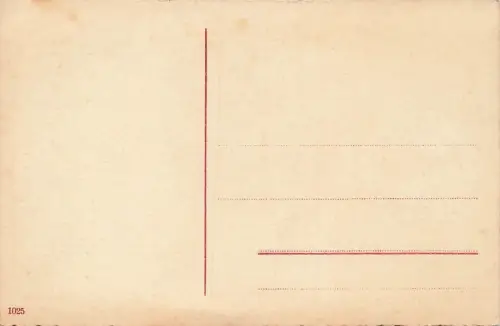 Fröhliche Weihnachten 25 Kalenderblatt Vögel Tannenzweige Schnee Postkarte AK