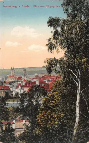 Stadtansicht Blick vom Bürgergarten Naumburg an der Saale Sachsen-Anhalt AK 1915