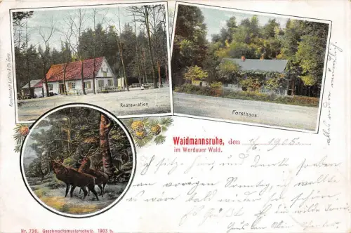 Waidmannsruhe im Werdauer Wald Restauration Forsthaus AK 1905