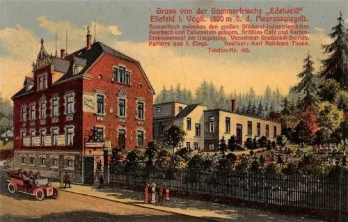 Gruss von der Sommerfrische "Edelweiß" Ellefeld i. Vogtl. AK