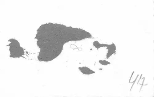 Wehrmachtsausgabe Wyssokopolje bei Charkow Ukraine