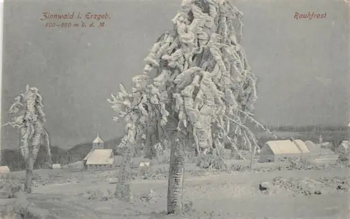 Zinnwald i. Erzgeb. Rauhfrost Postkarte AK 1919