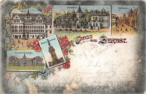 Gruss aus Zerbst Rathaus Schützenhaus Postkarte AK 1898