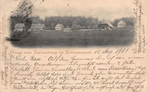 Gruss vom Zwieselberg im Schwarzwald Baden-Württemberg Postkarte AK 1901