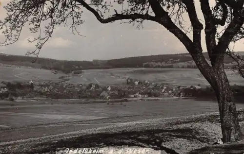 Oedelsheim a. d. Weser Postkarte AK