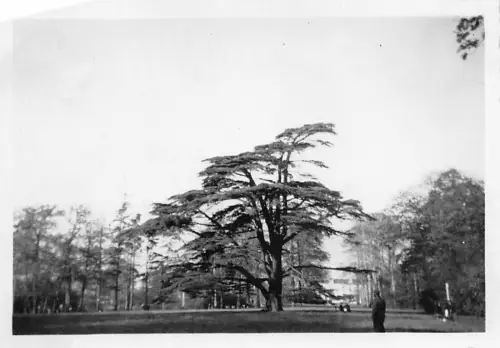 Deutscher Soldat im Park von Hoboken Antwerpen Belgien