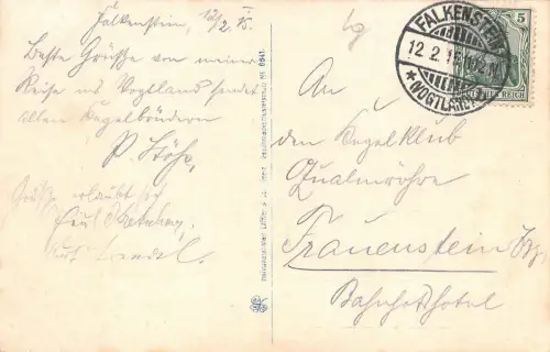 Falkenstein i. V. Ansicht Postkarte 1915