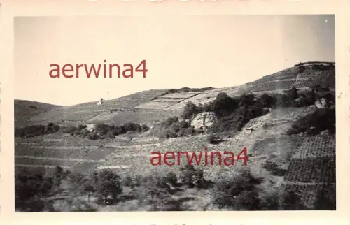 Weinberg in Kirn an der Nahe