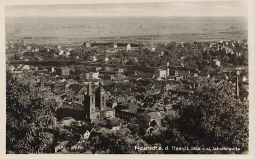 Neustadt a. d. Haardt Blick v. d. Scheffelwarte Postkarte AK