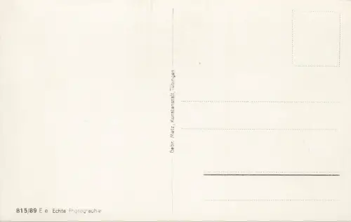 Neustadt a. d. Haardt Blick v. d. Scheffelwarte Postkarte AK
