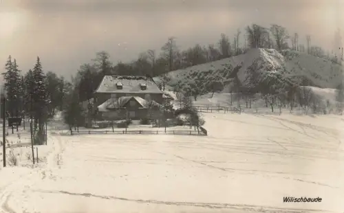 Wilischbaude bei Glashütte Sachsen Postkarte AK