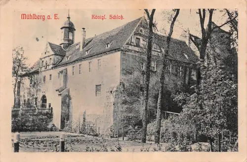 Mühlberg a. E. Königl. Schloß Postkarte AK 1914