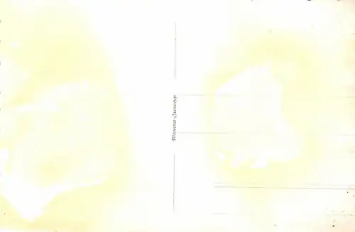 Frauen am N.J.K.O.V. - Heim Wartenberg am Roll Sudetenland Orig. Foto