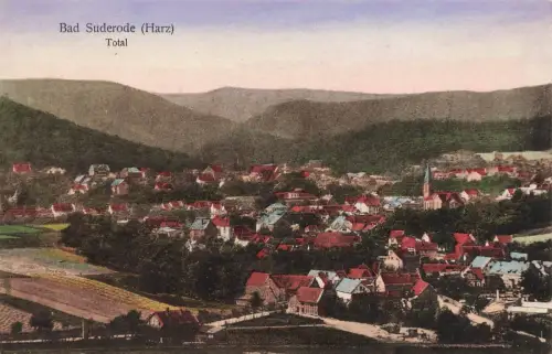 Totalansicht von Bad Suderode Harz Sachsen-Anhalt AK 1925