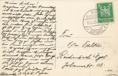 Totalansicht von Bad Suderode Harz Sachsen-Anhalt AK 1925