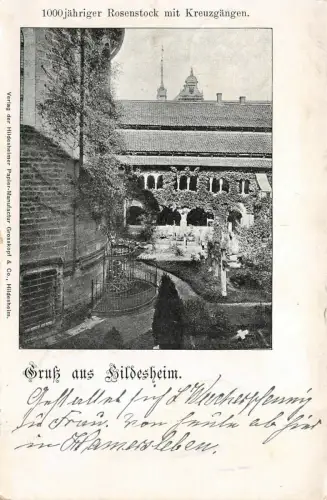 Gruß aus Hildesheim 1000jähriger Rosenstock Kreuzgänge Postkarte AK 1900