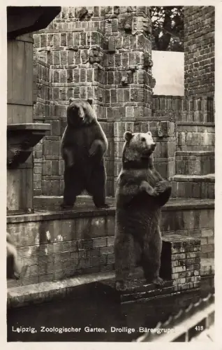 Drollige Bärengruppe Zoologischer Garten Leipzig Sachsen Postkarte AK