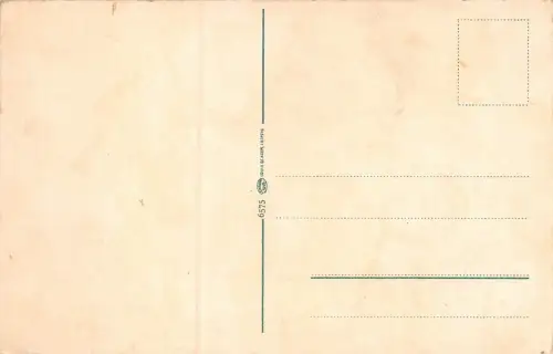 Blick vom Kaiser Wilhelm-Aussichtsturm auf Bad Schmiedeberg Postkarte AK