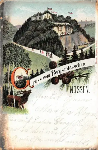 Gruss vom Bergschlösschen in Nossen Sachsen Postkarte AK 1905