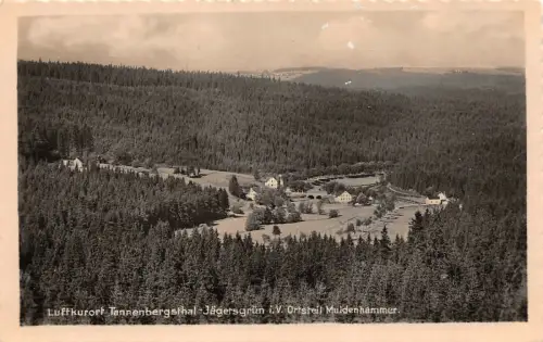 Sommerfrische Tannenbergsthal-Jägersgrün Vogtland Sachsen Postkarte AK