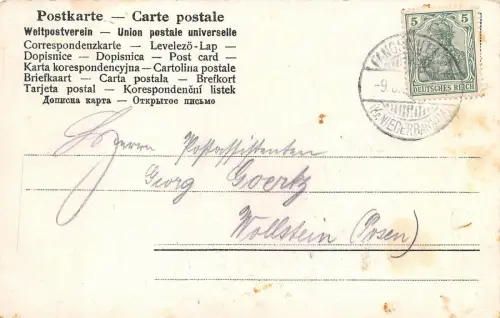 Treptow Restaurant Schwarze Adler Postkarte 1908