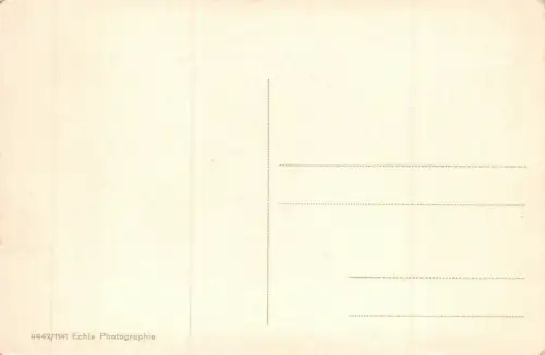 Dresden Loschwitz-Blasewitz mit Elbe und Brücke Postkarte AK