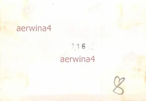 deutsche Eis Löwenköpfe Schloß in Lille Frankreich