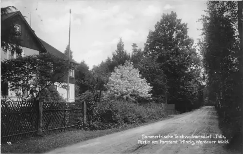 Sommerfrische Teichwolframsdorf i.Thür. Forstamt Trünzig Werdauer Wald AK 1929