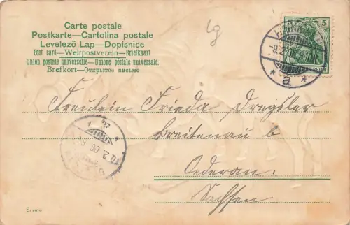 Schafe Lämmer Futtertrog Heu Postkarte AK 1906