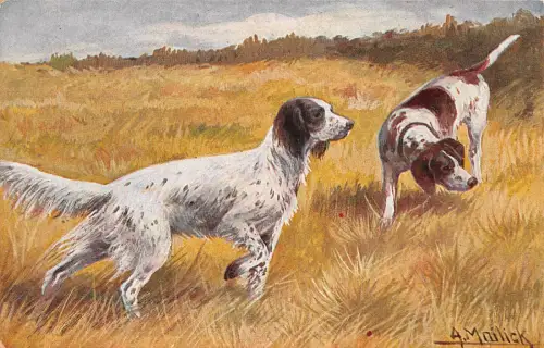 Hunde auf dem Jagd A.Mailick Postkarte