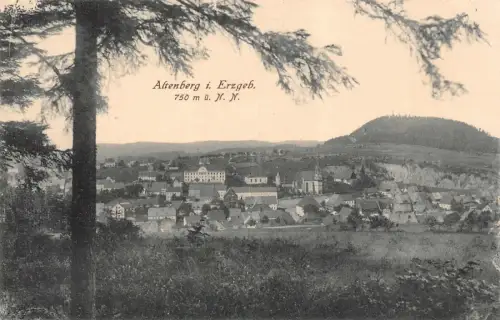 Altenberg i. Erzgeb. Ansicht 750 m ü. N. N. Wiedersehensfest AK