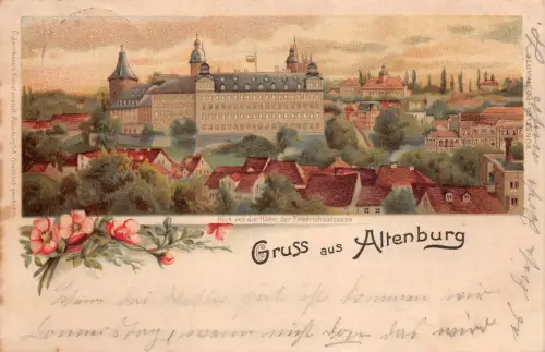 Gruss aus Altenburg Blick von der Höhe der Friedrichsstrasse Postkarte AK 1900