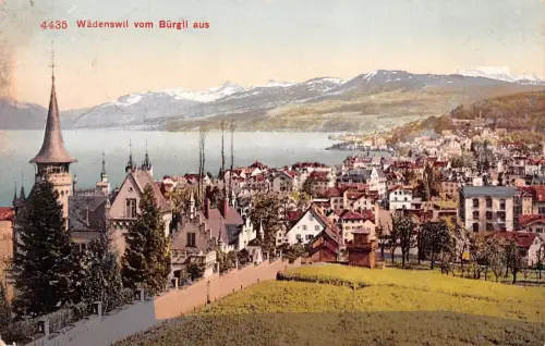 Wädenswil vom Bürgli aus Postkarte AK 1909
