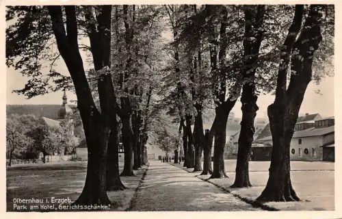 Olbernhau i. Erzgeb. Park am Hotel "Gerichtsschänke" Postkarte AK