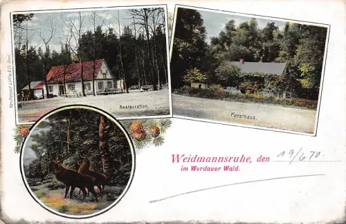 Forsthaus, Restaurant Weidmannsruhe Werdauer Wald Thüringen Postkarte AK 1910