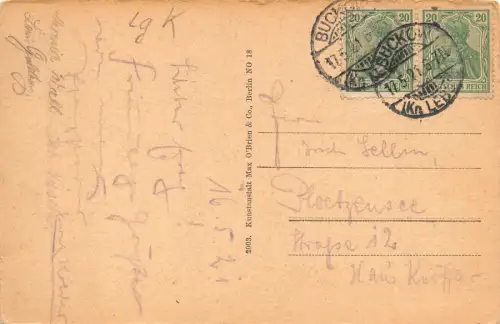 Bad Buckow (Märk. Schweiz) Villen am Schermützelsee AK 1921